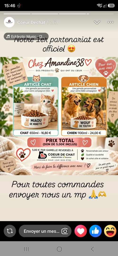 Gamelle Personnalisée pour Animal 🐾 - Cadeau Original pour Animaux